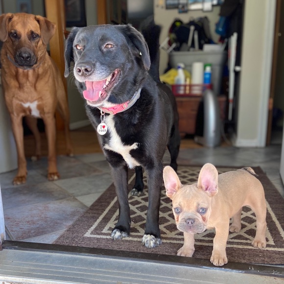 Meet your posher, Kim - Picture 2 of 12